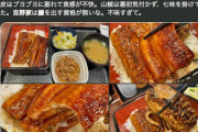 料理研究家、吉野家のうなぎを「腹が立つほど不味い」とイキリ散らす