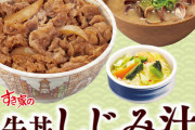 【悲報】すき家でおろしポン酢牛丼頼む人間、ワイだけ