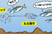 釣り初心者におすすめ！簡単な2つのアクションで釣果アップ！