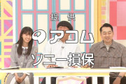 【悲報】乃木坂24thヒット祈願in富士山、事故により差し替えか！？