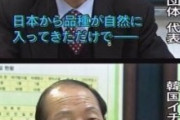 韓国「韓産イチゴが美味しいのは気候が合い、これまでの品種改良の積み重ねのため」  [4/17]