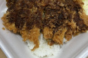 【画像】このカツ丼(450円)の欠点を答えなさい