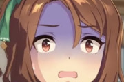 【ウマ娘】なんでアナタが●●のトレセン大会で優勝してるのよ！？