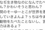 女『うち思うんやけど、動物を食べるって罪だよ？うちは今まで動物たべたことないし、言う力あるよ？』 → 女『ハンバーグゎず！まぢおぃしかった！』