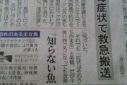 【悲報】釣ったフグその場で食べた男性、救急搬送　「フグに毒がある事を知らなかった。もう食べない」