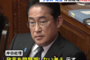 野党「あなたの優先度はうなぎ以下なんですよ！」　岸田「・・・？ｗ」
