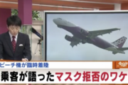 【ピーチ】飛行機でのマスク着用拒否について航空業界関係者が解説していく