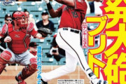 中日ドラゴンズ「補強第一弾はマイナー通算80発大砲ブリトー！」中日ファン「そう…」