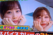 超朗報【乃木坂46】美月の唇が・・・有吉の番組に、山下美月と梅澤美波が参戦決定！！！ｷﾀ━━━━(ﾟ∀ﾟ)━━━━!!