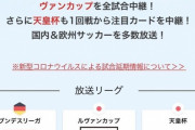 ◆悲報◆スカパー！サッカー中継死亡へ…セリエも手放すのこるはルヴァン、ブンデスのみ！