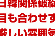 【画像】日韓関係が破綻したと一発で理解できる画像がこちら