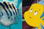 実写版『リトル・マーメイド』アリエルの“相棒”の魚の衝撃ビジュアルに注目集まる。「かわいいフランダーはどこへ」の声も