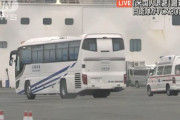 韓国、アメリカ、カナダ、オーストラリア、台湾、香港もチャーター機でクルーズ船から自国民移送へ　ネット「最初からこれやっとけば良かったんだよ