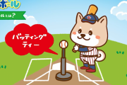 NPB公認BTボールとかいう幼児向け野球競技