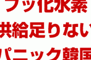 韓国半導体業界パニック！　「フッ化水素の供給が足りない。何とか生産ラインを維持してる状況」「脱日本は難しい。政府の説明はうそ」　どうすんのこれ…　