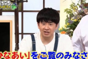 【日向坂46】あちこちオードリー、まさかのひなあい視聴者にピンポイント告知
