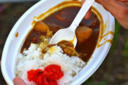 カレーハウスCoCo壱番屋とかいう美味くて安くてトッピング豊富なだけのカレー屋がなぜ天下を取れたのか