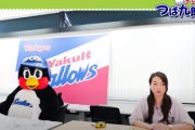 元マリン売り子こなつお姉さん。ロッテを捨てヤクルトのYouTubeでMCに