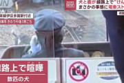 犬とシカが線路上で“けんか”　まさかの事態に電車30分ストップ