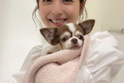 【芸能】愛してる♡…佐々木希、愛犬チワワとの笑顔ツーショットに「可愛すぎるツーショット」「愛犬幸せそう」「目が似てますね」の声
