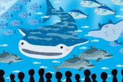 水族館の知名度ランキング作るとしたら1位美ら海水族館で2位は？