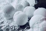 雪合戦が冬季五輪の種目にならない理由