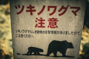 X民「私の考えるクマ対策はこうです」