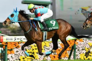 【ダービー卿CT】テルツェットが快勝！４連勝で重賞初制覇