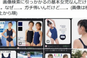 【画像】フェミ「ちょっと待って。『小学生　スクール水着』でググったら女児しか出てこない…怖」