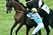 【画像】 阪神5Ｒで放馬事件　2頭がおっ始めてしまい松山騎手が挟まれ負傷　牡馬と牡馬