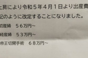【悲報】日本政府「出産支援金8万円増額します！」産婦人科「？！」ｼｭﾊﾞﾊﾞﾊﾞ