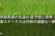 中京競馬場の気温41度予想に悲鳴！東海ステークスは灼熱の過酷な一戦か