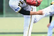 【阪神】西純矢２軍中日戦で40日ぶり先発マウンド６回２安打無失点の好投　3回まで安打許さず