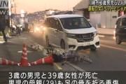【よそ見運転で3人殺傷】50歳女「助手席のインコとじゃれていた｣❓?