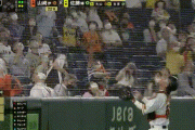 【阪神】佐藤輝明の打球が観客に直撃