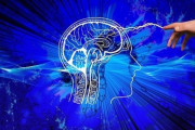 【脳科学】脳をコンピューターに「アップロード」して生き続けるようになる日は来るのか？