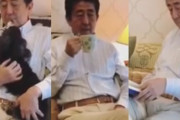 【朗報】安倍さん、星野源とコラボし豪邸で優雅にくつろぐ動画を投稿