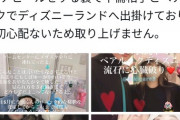 滝川ガレソ「東海オンエア妻のあやなん氏が不倫してたよ」あやなん「ガレソ社会的に潰す」