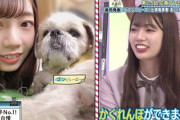 【日向坂46】おたけ、愛犬に対する熱量が凄いwwww