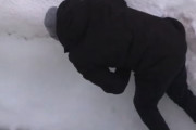 雪は柔らかいとは限らないｗｗｗ雪だウェーイと頭から飛び込んだ男性がｗｗｗ