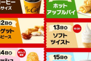 【朗報】マクドナルドさん、急になんでも「100円」で売り出す