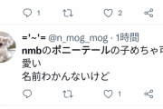 NMBのポニテの子がかわいすぎるとツイッターでバズりまくってるけど誰のこと？