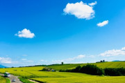 北海道「飯旨いですＧいません花粉ありません」←