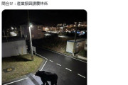女川町が公式Xに「フェイク画像」のクマ投稿 注意喚起もその後 偽物と判明「作成者本人から連絡」