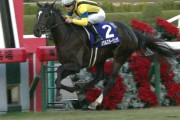 【競馬】チューリップ賞で大勝負する