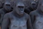 【動画】1万匹のゴリラ対１００万人の人間ｗｗ