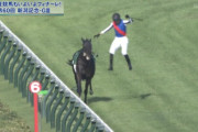 【画像】競馬で１番人気の馬がどっか行ってしまうｗｗｗｗｗ