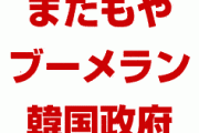 韓国政府にまたもや特大ブーメラン！　日本をホワイト国から外しWTO違反認定される！　愛国日報が悔しくてパニック状態！