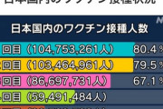 【悲報】日本人さん、コロナワクチンを1億人以上も打っていた