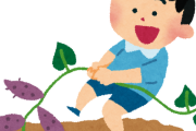 さつまいもを自家栽培しようかと思って調べたら
